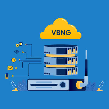 Bison-VBNG-Servers