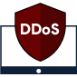 Anti-DDoS-protection