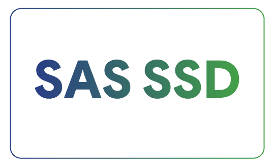 SAS-SSD SAS-SSD